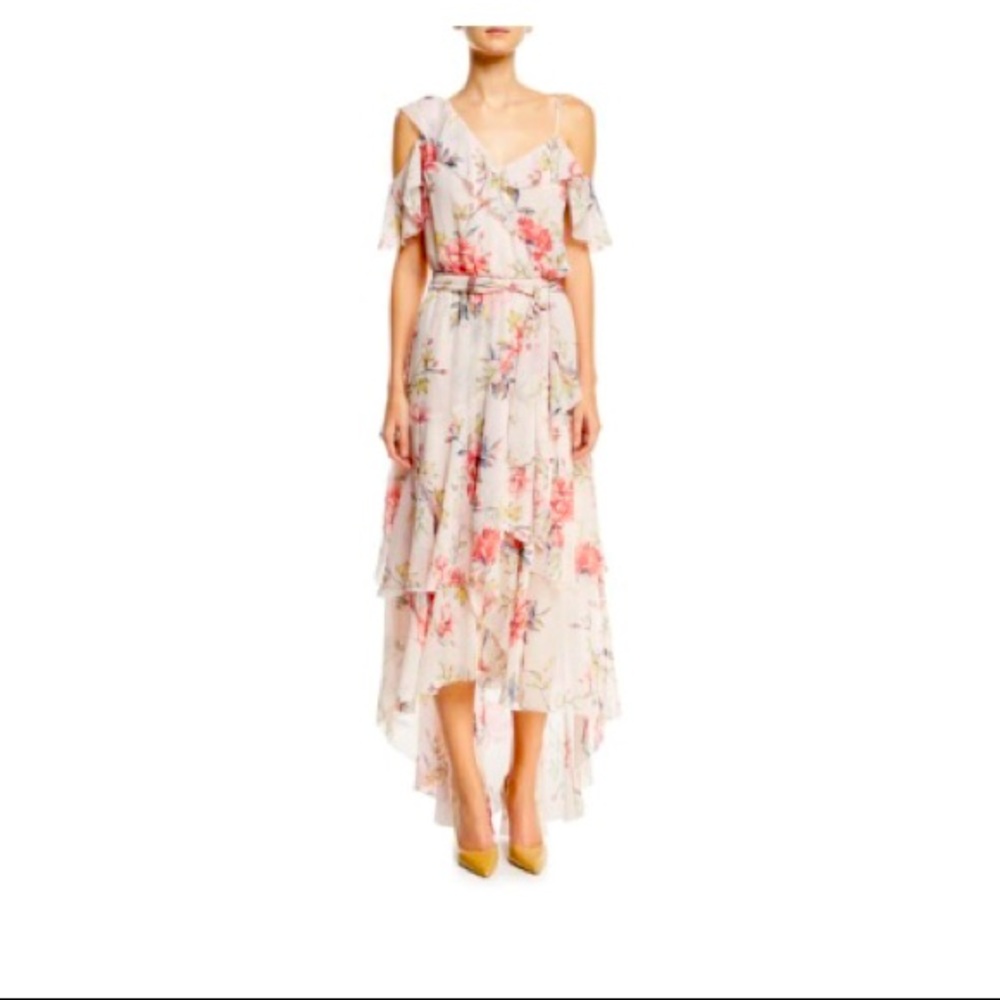 NWT Joie Cristeta Dress